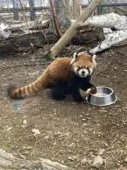 ベティ0412の画像