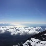 コロン