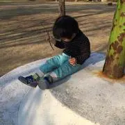 ひなたぼっ子の画像