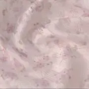 TinyMoの画像