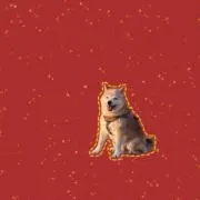 スナジ