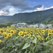 やま＊24時間以内発送＊の画像