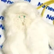 mi-koの画像