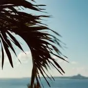 具の中のグぅチャン