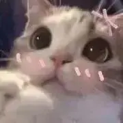 uiの画像