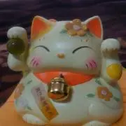 ドリームカンパニーの画像