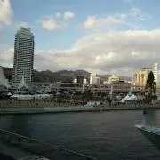 ビスコの画像