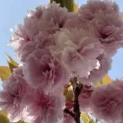 user_71f65a6dの画像