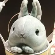 ににかの画像