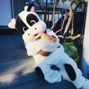 yupikoの画像