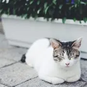 お値下げ交渉可能ですの画像