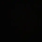 ヤンの画像