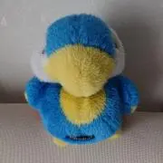 SAIの画像