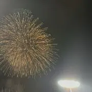 みの画像