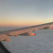 てんの画像