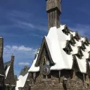 まるっこの画像
