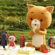 キキの画像