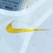 NPEの画像