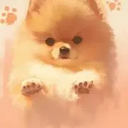 yoshiの画像