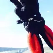 瑠