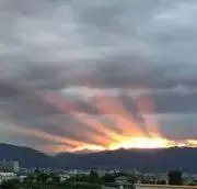 のの（プロフ確認）の画像