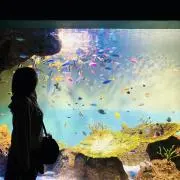 もん♥︎おまとめ割10%OFF!!の画像
