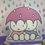 Image of しろたん