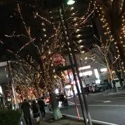 さかいのばいくの画像