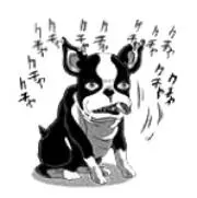 ぴちこ