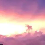 タケシの画像