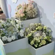 p._._.mの画像
