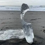 NUTSの画像