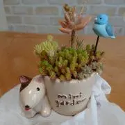 ゆっこ★の画像