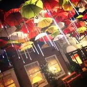 ハルの画像