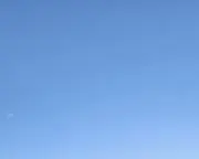 yururiの画像