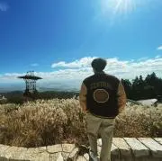 やまの画像