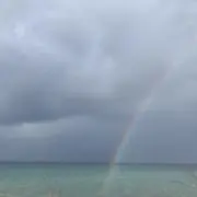 プロフ一読お願いしますの画像
