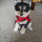 祐太とジロー～♪の画像