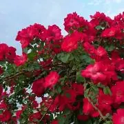 潤