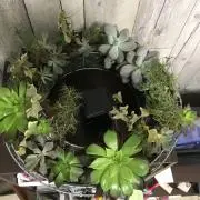 ばぐみの画像
