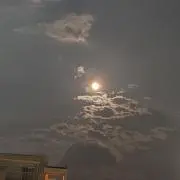 ロクロクの画像