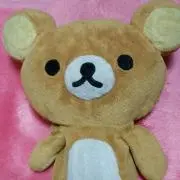 ☆くた☆