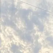 きりんの画像