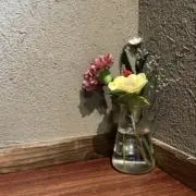 Lの画像