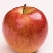AORISTの画像