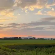 なっくの画像