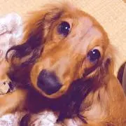 ちーちゃん