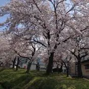 RUKAmama♡
