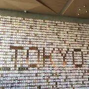 ロクの画像