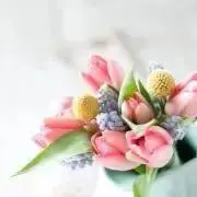 エリナの画像
